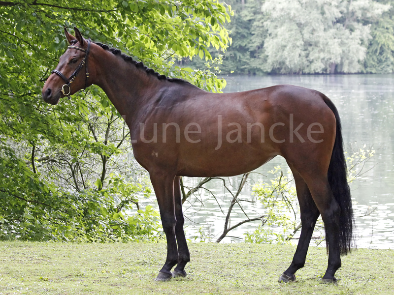 Sissy Foto © Lune Jancke